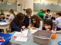 Kooperativna nastava u fokusu