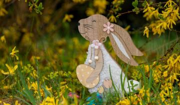 Kuda sa decom ovog proleća?