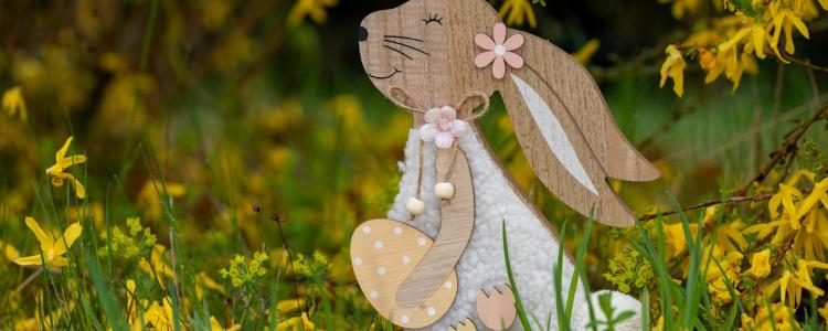 Kuda sa decom ovog proleća?